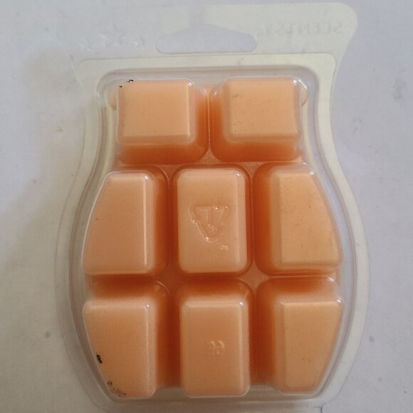 Strawberry & Rockmelon Scentsy Bar - New - Picture 2 of 2